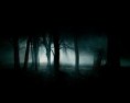/album/fotogaleria/cdaf9c8f8a-44127682-o2-jpg/