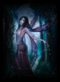 /album/fotogaleria/temnavila-jpg/
